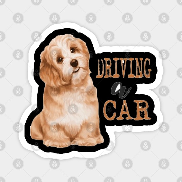 Dogs driving a CAR Magnet by KidzyAtrt