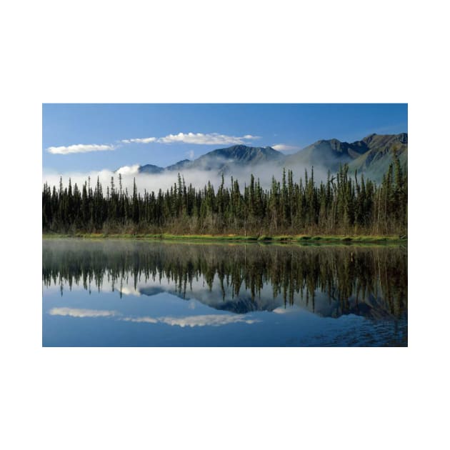 Boreal Forest Along Lake Edge Nutzotin Mountains by AinisticGina