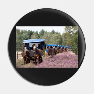 Horse-drawn carriages, nature reserve, Osterheide, Schneverdingen Pin