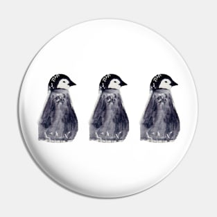 3 baby penguins Pin