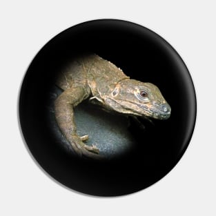 Iguana Pin