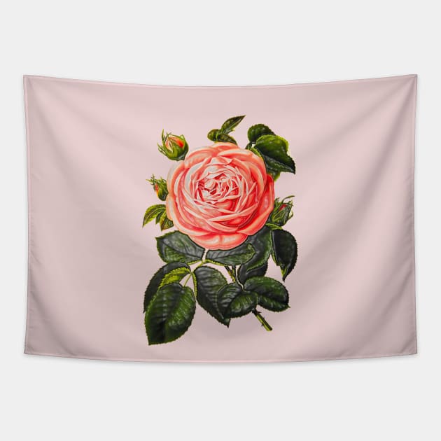 rosebud with green leaves Tapestry by Marccelus