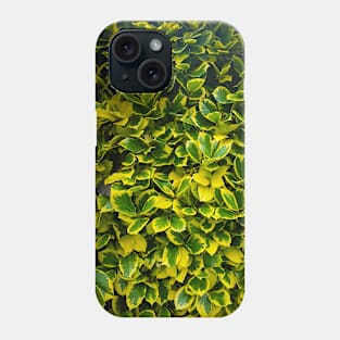 Nature Phone Case