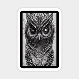 Owl Eyes Night Black Bird Magnet