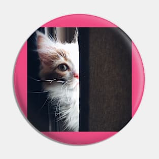 Cute cat watching Pin