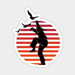 Master of Defense Karate Kick on Sunset Magnet