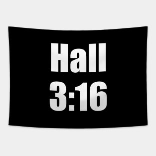 Hall 3:16 Tapestry