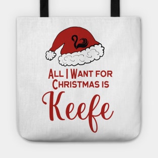 KOTLC Keefe fans, Keeper of the Lost Cities Christmas Tote