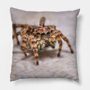 Orange-Brown Jumping Spider on a Kitchen Tile. Macro Photograph Pillow