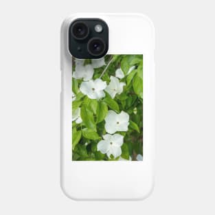 White Dogwood Flowers. Phone Case