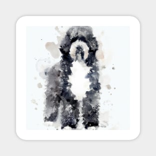 Portuguese Water Dog Watercolor Painting - Dog Lover Gifts Magnet