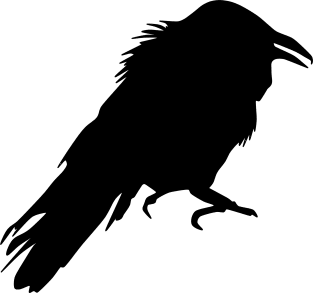 Crow Magnet