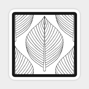 Skeleton leaf in black and white Magnet