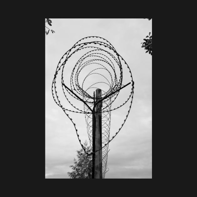 Razor Wire by opticpixil