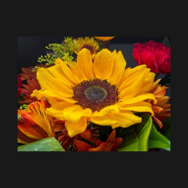 Sunflower With Waterdrops by Ckauzmann