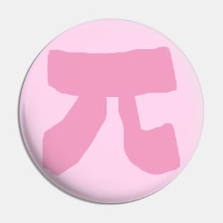 Pi Day Pin