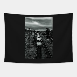 Goods wagons Tapestry