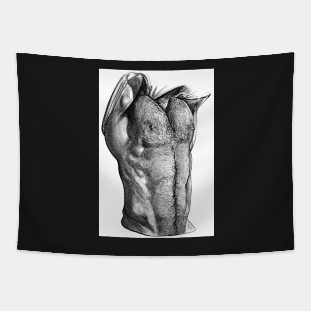 Gym Ready Tapestry by davidfarquhar