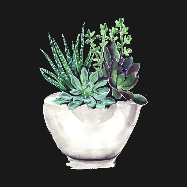 Succulents by Bridgetdav