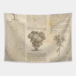 Vintage Botanist Illustrations Text Book Gothic Victorian Dark Academia Plant Lover Pattern Tapestry