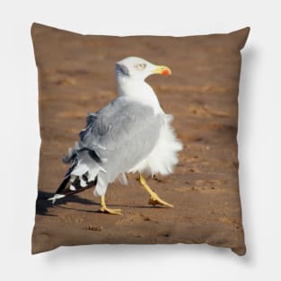 Seagull in a windy day with ruffled feathers Pillow