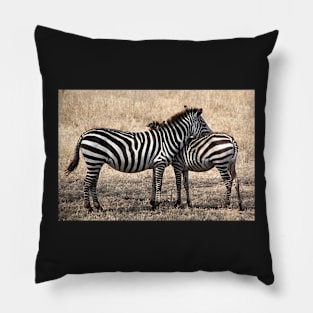 Plains Zebra, Serengeti National Park, Tanzania Pillow