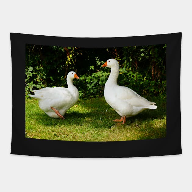 Two White Geese - Each Goose Looking At The Other Tapestry by Harmony-Mind