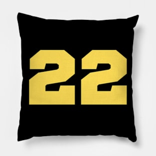 Iowa 22 Pillow