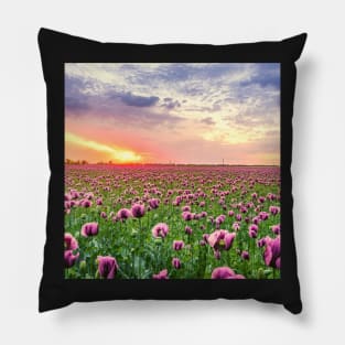 Sunset Fields of Purple Tulip Flowers Pillow