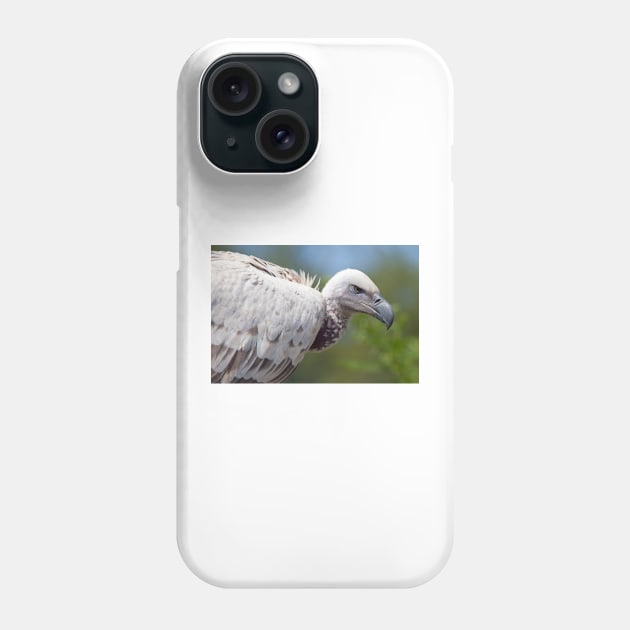 Cape Vulture close-up Phone Case by Melissa Peltenburg Travel Photography