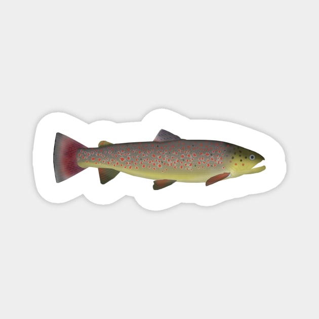 Flathead Trout Magnet by FishFolkArt