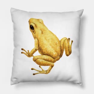 Dart frog Pillow