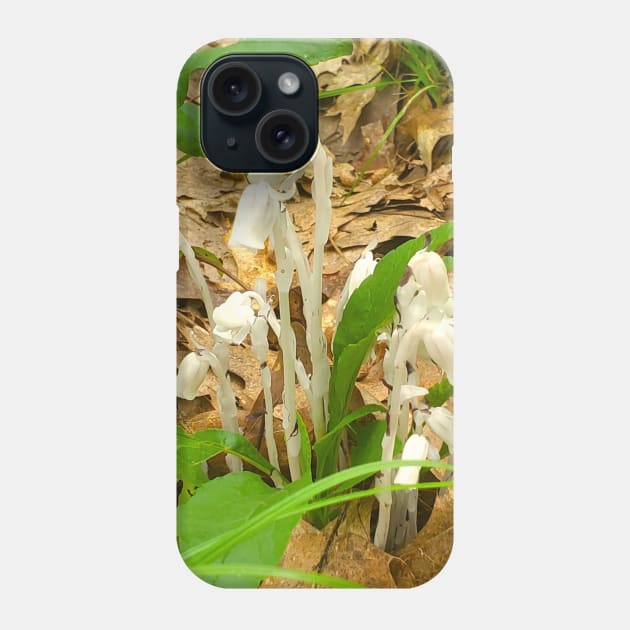 Ghost Pipes Phone Case by etherealwonders