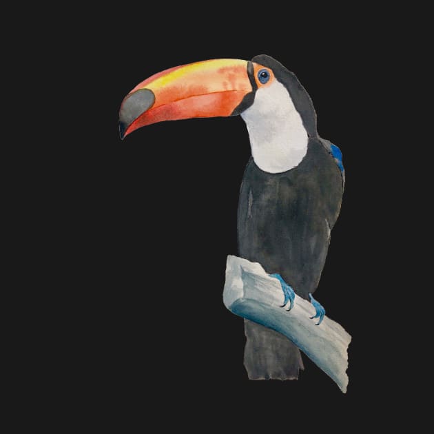 toucan by amandapwilson