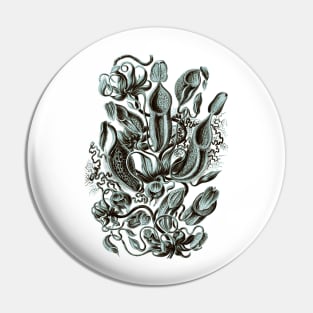 Ernst Haeckel Pitcher Plant  Teal Pin