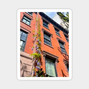 Wisteria on Manhattan townhouse Magnet