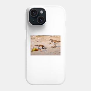 Sandpipers on the Beach Phone Case