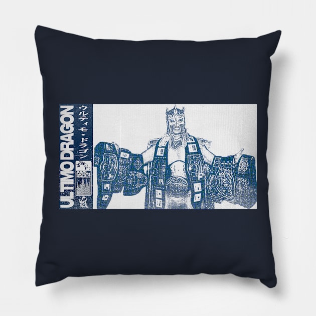 Enter the Dragon Pillow by Snomad_Designs