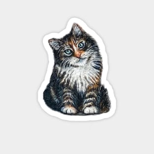 Cat Drawing Magnet