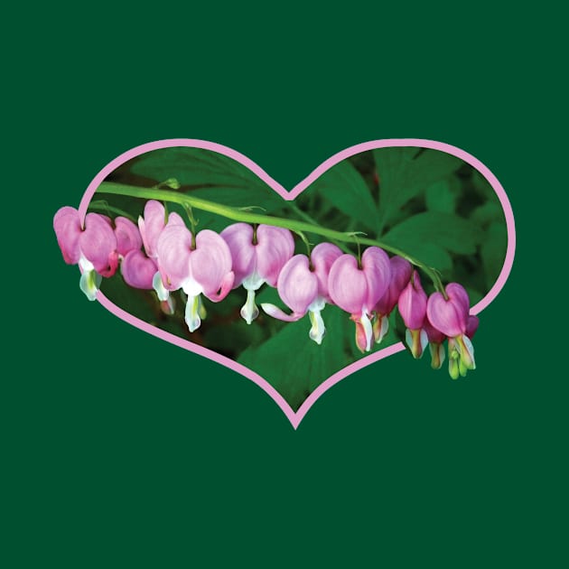 Bleeding Hearts - Bleeding Hearts in Heart by SusanSavad