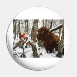 Scottish Highland Cattle Cow 2202 Pin