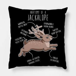 Jackalope Anatomy Pillow