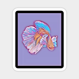 betta fish Magnet