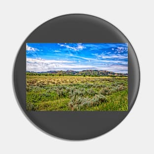 Theodore Roosevelt National Park North Unit Pin