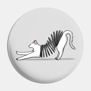 Slinkat! Pin