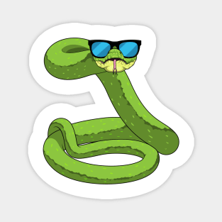 Snake Sunglasses Magnet