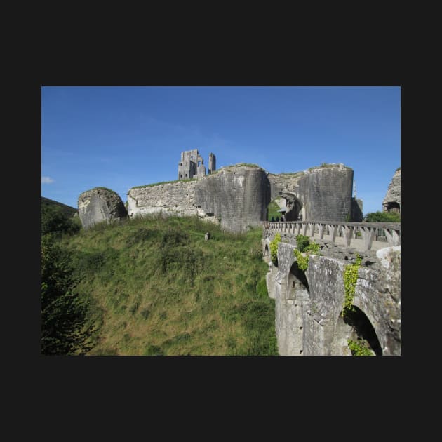 Corfe Castle & Herdwick Sheep, Dorset, England by MagsWilliamson