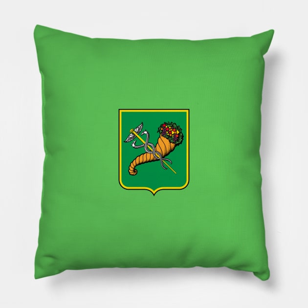 Flag of Kharkiv, Ukraine Pillow by brigadeiro