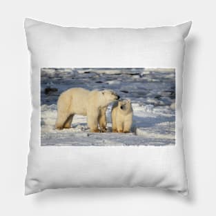 Polar Bear, Mother & Cub, Churchill, Canada Pillow