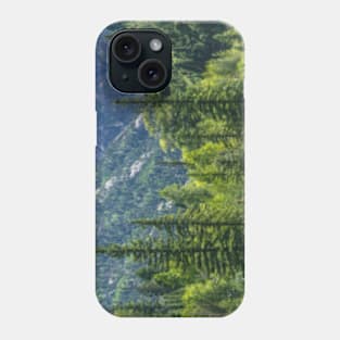 Colorado Forest Phone Case